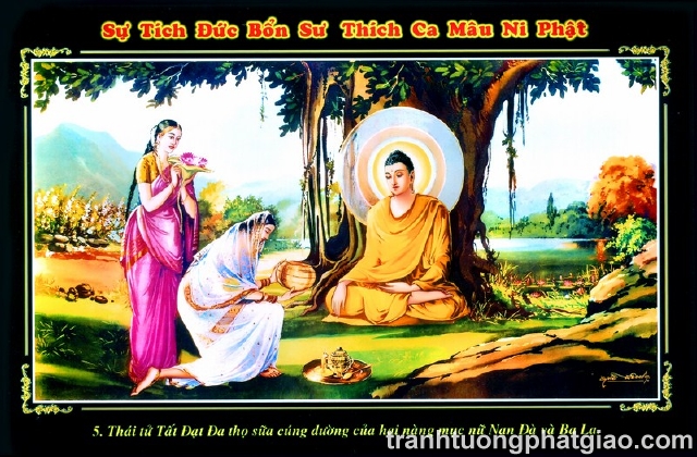 Lịch Sử Phật Thích Ca Mâu Ni Phật (438)